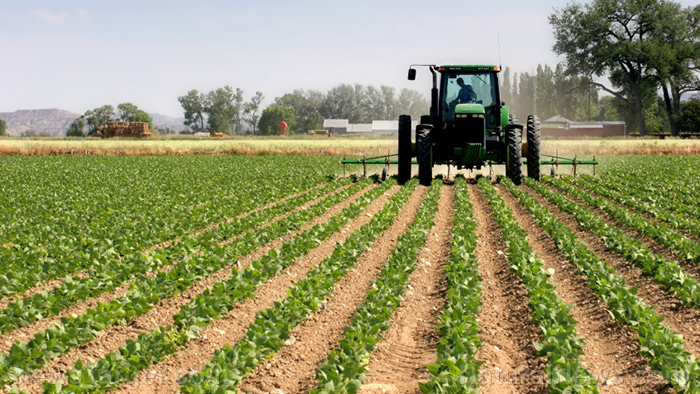 America continues to use 100 herbicides and pesticides ...